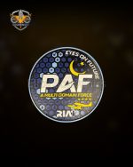 Custom Pakistan Air Force Souvenir Coins & Badges Military Commemoratives